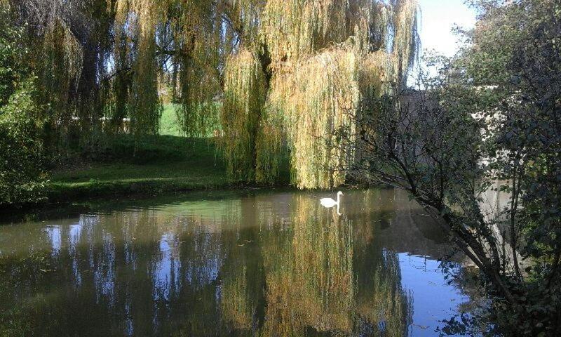 Le Clos Des Cygnes Charolles Exterior photo
